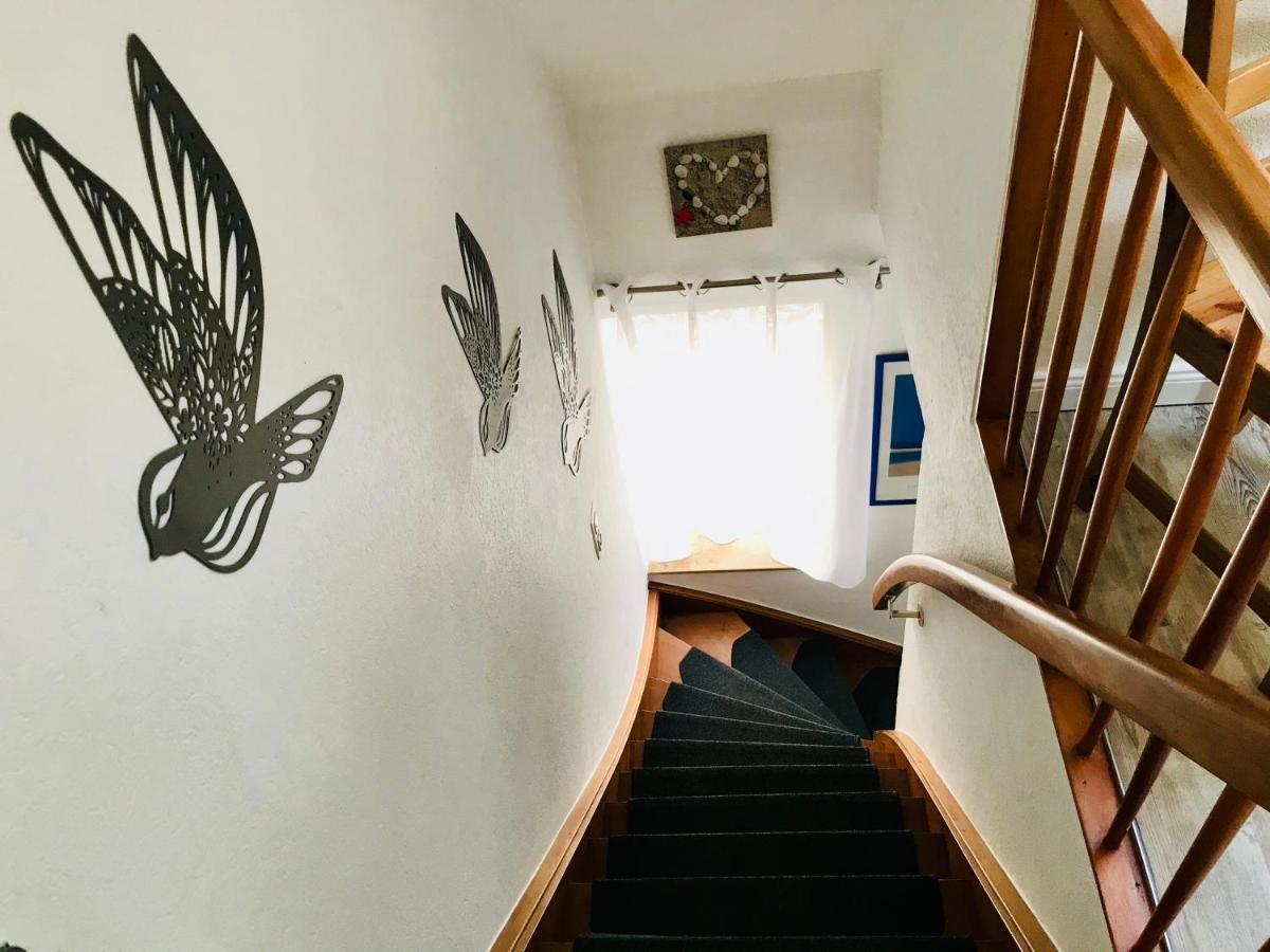 Ferienwohnung Seeblick 보르쿰 외부 사진